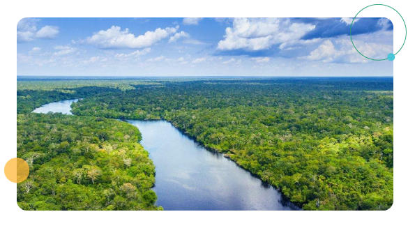 Sobre nós - Destaques globais da sustentabilidade