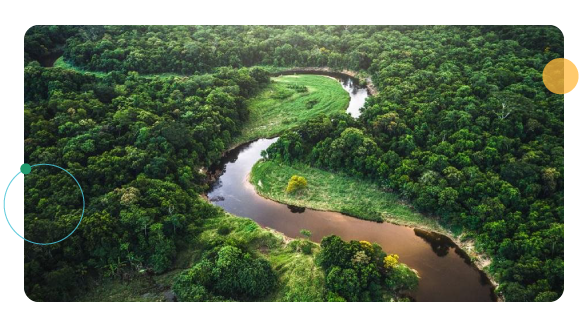 rio no meio da floresta